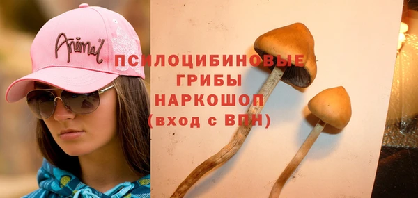трава Наволоки