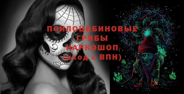 а пвп мука Надым