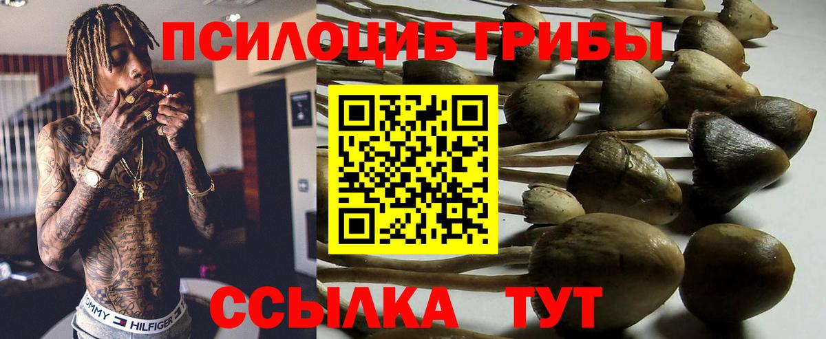 даркнет сайт  Псилоцибиновые грибы мухоморы  Вход с VPN  Псилоцибиновые грибы GOLDEN TEACHER  Уфа 
